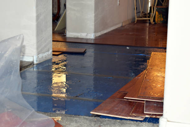 Professional Burst Pipe Water Damage technician working in New Haven, OH